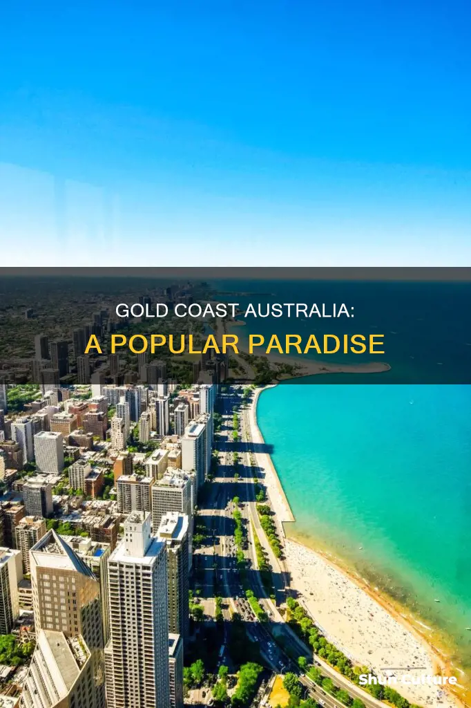 how popular is gold coast australia