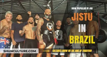 Jiu-Jitsu's Cultural Impact: Brazil's Enduring Love for the Martial Art