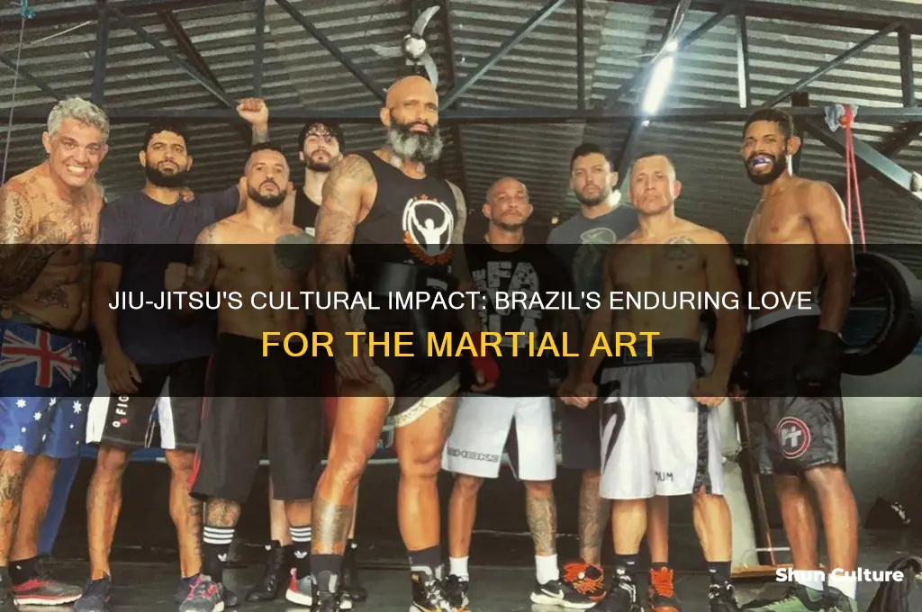 how popular is jiu jistu in brazil