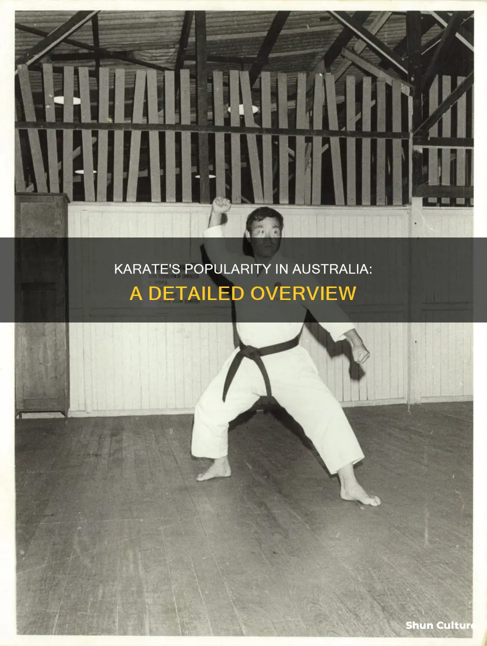 how popular is karate in australia