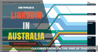 LinkedIn's Popularity in Australia: A Snapshot