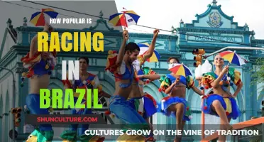 Brazil's Racing Passion: Exploring the Sport's Popularity and Cultural Impact