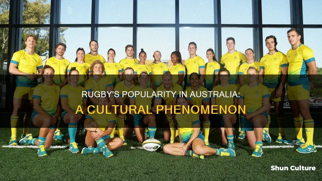 how popular is rugby in australia