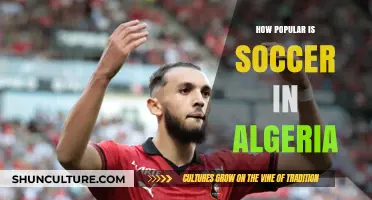 Algeria's Soccer Passion: A Deep Dive into Its Popularity and Culture