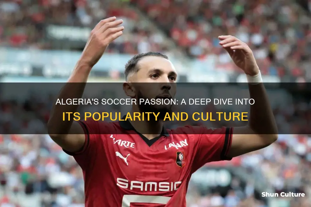 how popular is soccer in algeria