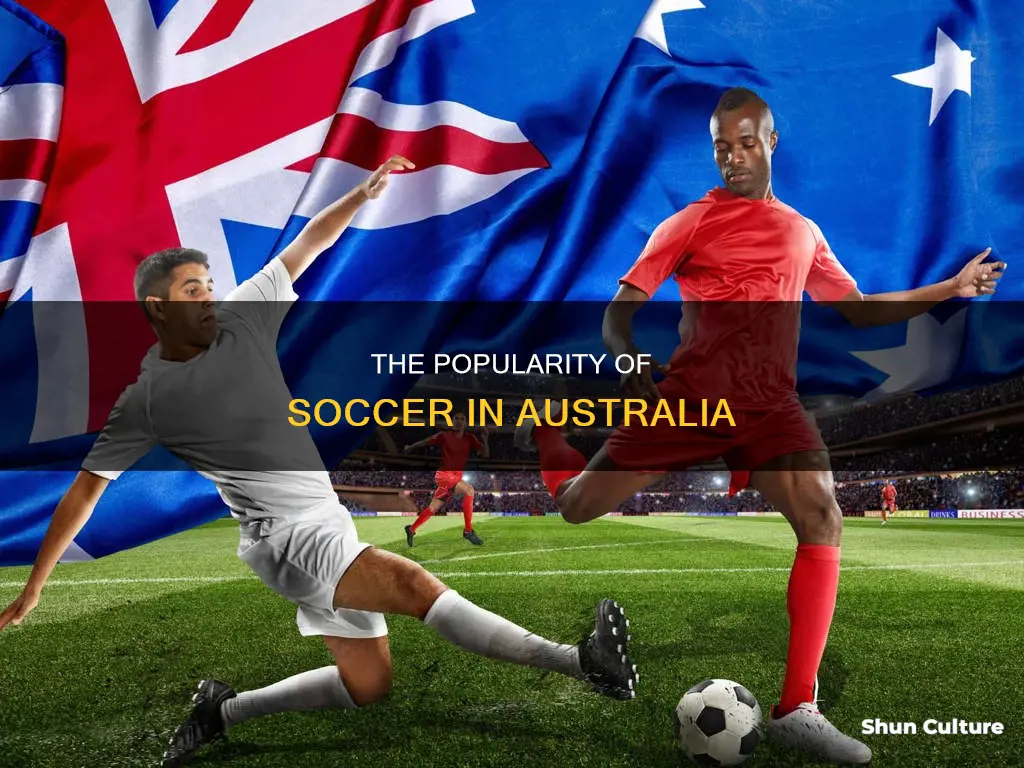how popular is soccer in australia