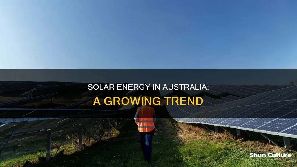 how popular is solar energy in australia
