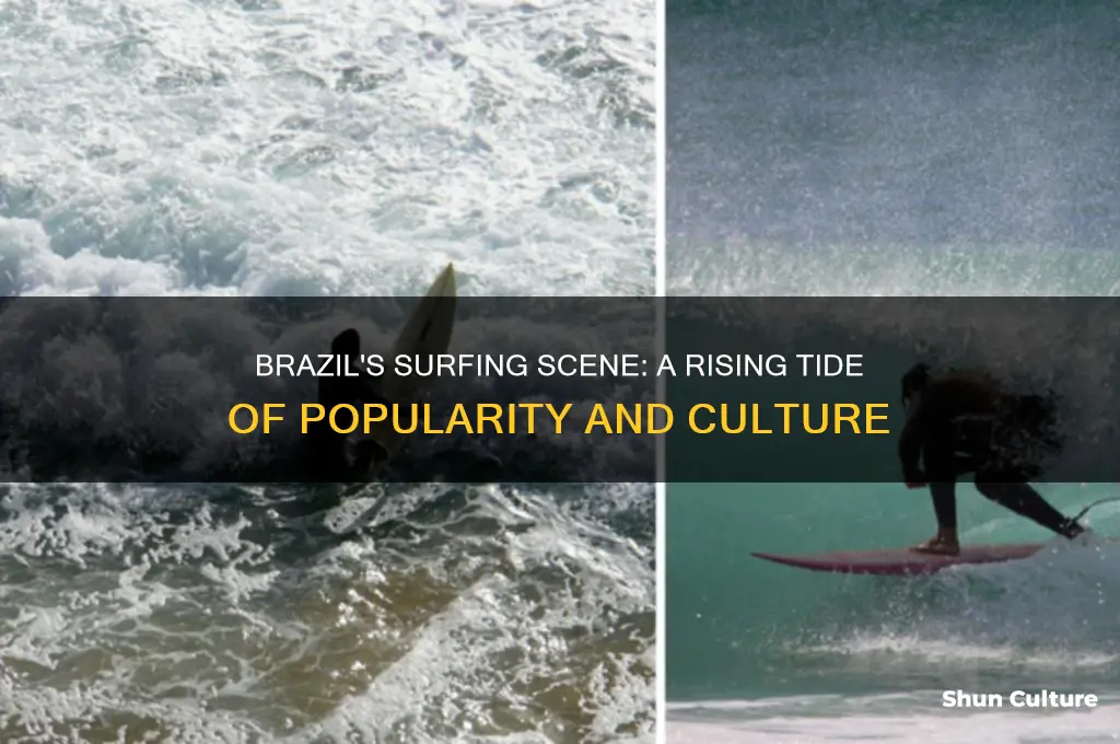 how popular is surfing in brazil