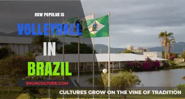 Brazil's Volleyball Passion: A Sport's Cultural Impact and Popularity