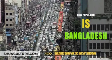 Exploring Bangladesh's Population Density: A Comprehensive Demographic Overview