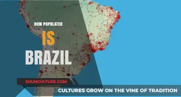 Exploring Brazil's Population Density: How Crowded is the Country?