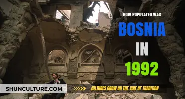 Bosnia's Population in 1992: A Snapshot Before the War