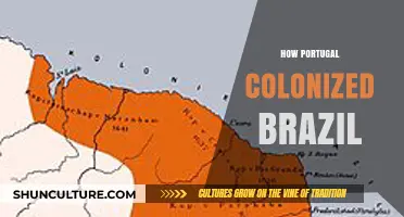 Portugal's Conquest: The Colonization of Brazil and Its Legacy