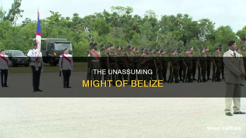 how powerful is belize