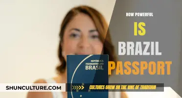 Unlocking Global Access: The Surprising Power of Brazil's Passport