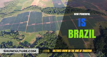Brazil's Global Influence: Unveiling Its Economic, Cultural, and Political Power