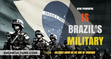 Brazil's Military Might: Assessing Its Global Power and Capabilities