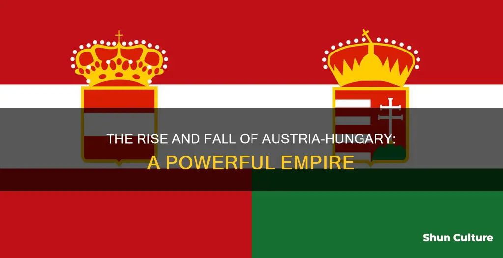 how powerful was austria hungary