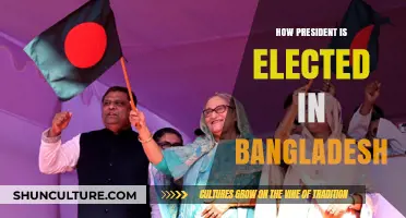 Understanding Bangladesh's Presidential Election Process: A Comprehensive Guide