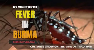 Understanding Dengue Fever's Impact in Burma: A Comprehensive Overview