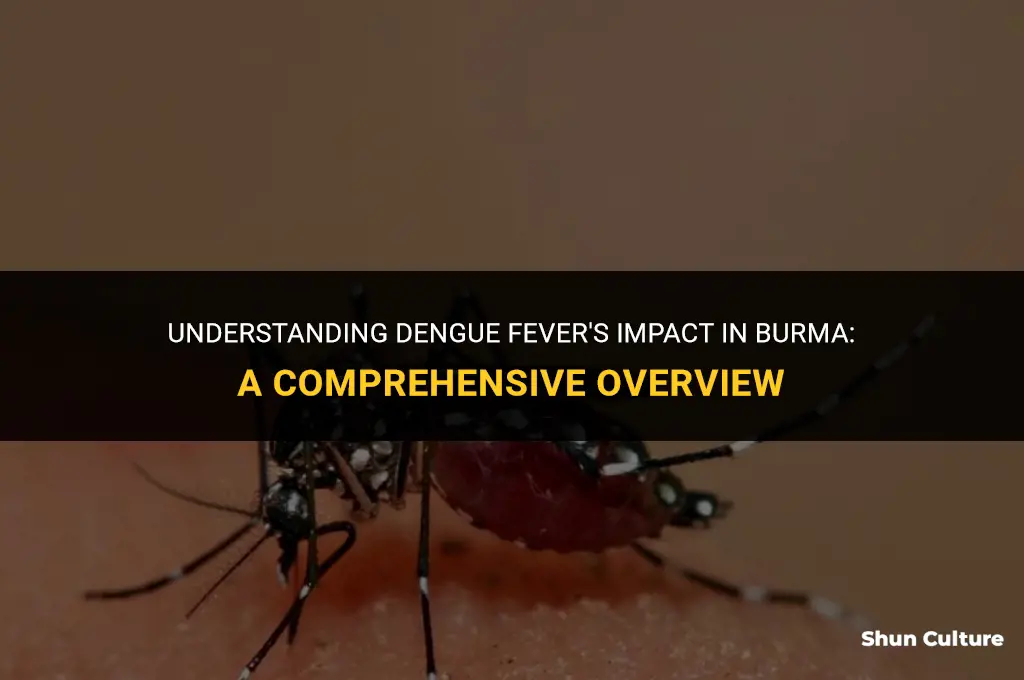 how prevalent is dengue fever in burma