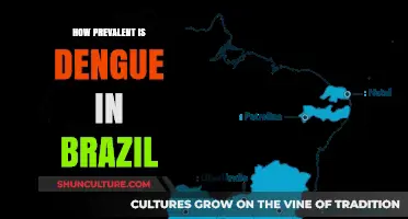 Dengue in Brazil: Understanding the Widespread Impact and Prevalence