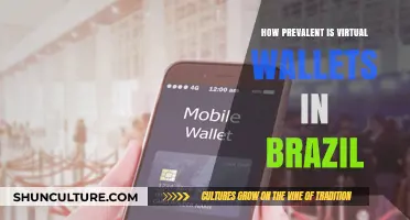 Virtual Wallets in Brazil: Adoption Rates and Market Trends