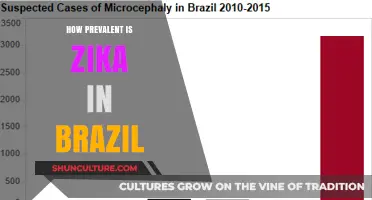 Zika Virus in Brazil: Current Prevalence and Public Health Impact