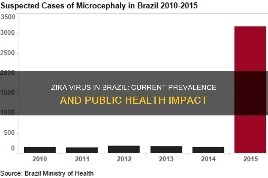 how prevalent is zika in brazil