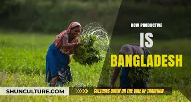 Bangladesh's Productivity: Unlocking Economic Potential and Growth Strategies
