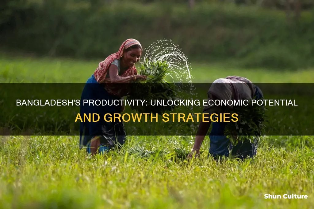 how productive is bangladesh