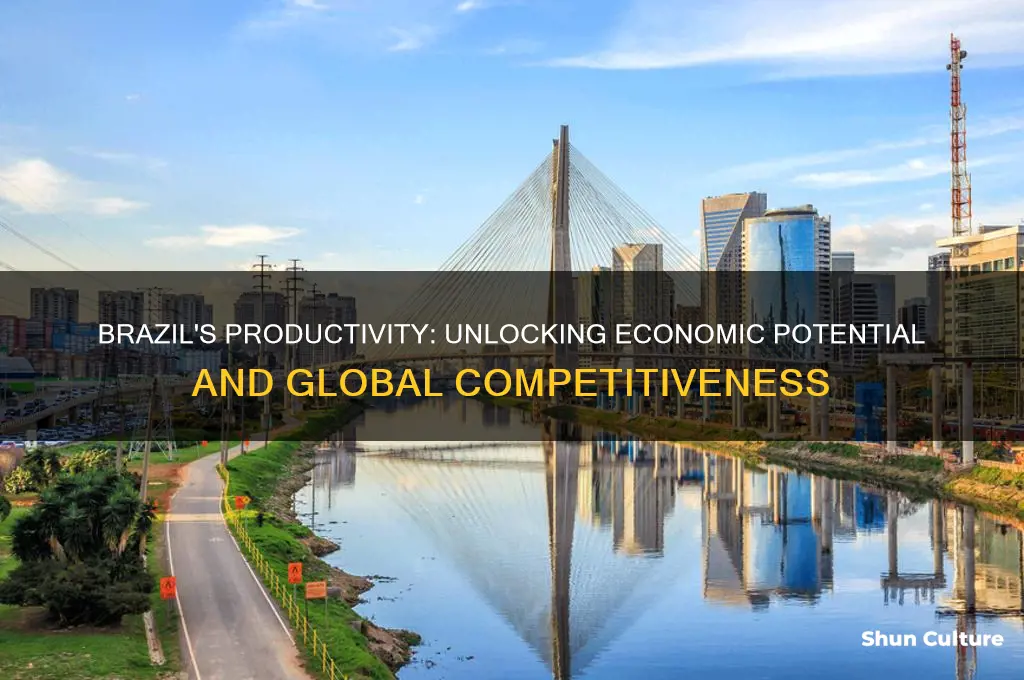 how productive is brazil