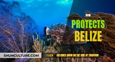 Belize's Barrier Reef: A Natural Defense Against Storms and Sea-Level Rise