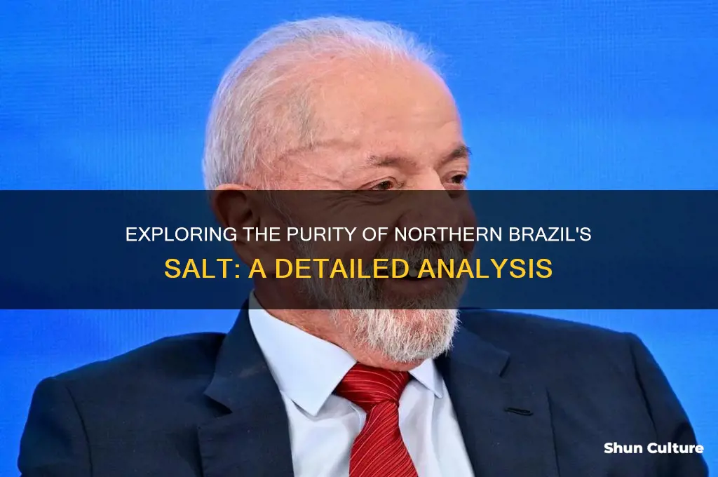 how pure is salt from northern brazil