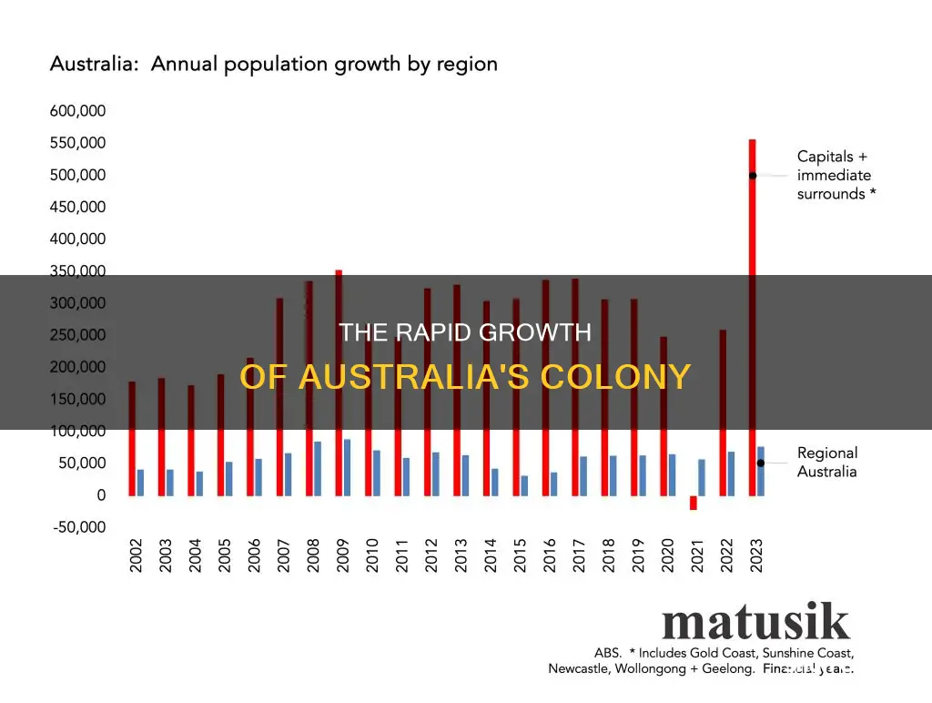 how quick did the australia colony grow