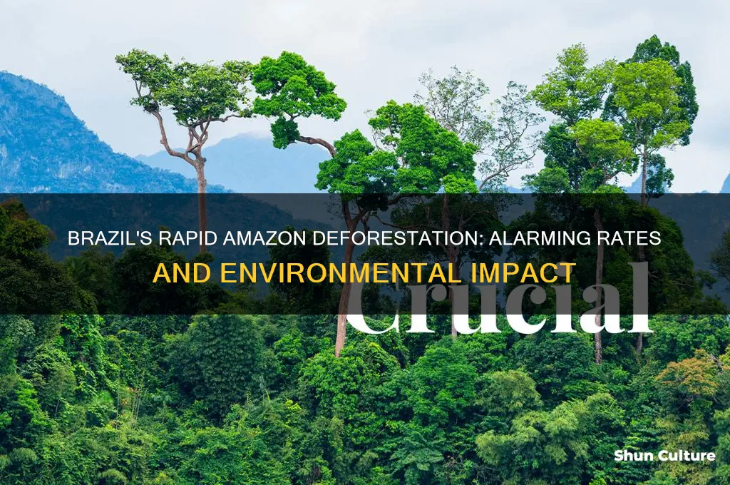 how quickly is brazil deforesting the amazon