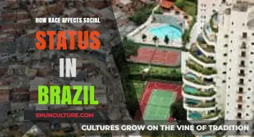 Race and Social Status in Brazil: Unraveling Complex Inequalities