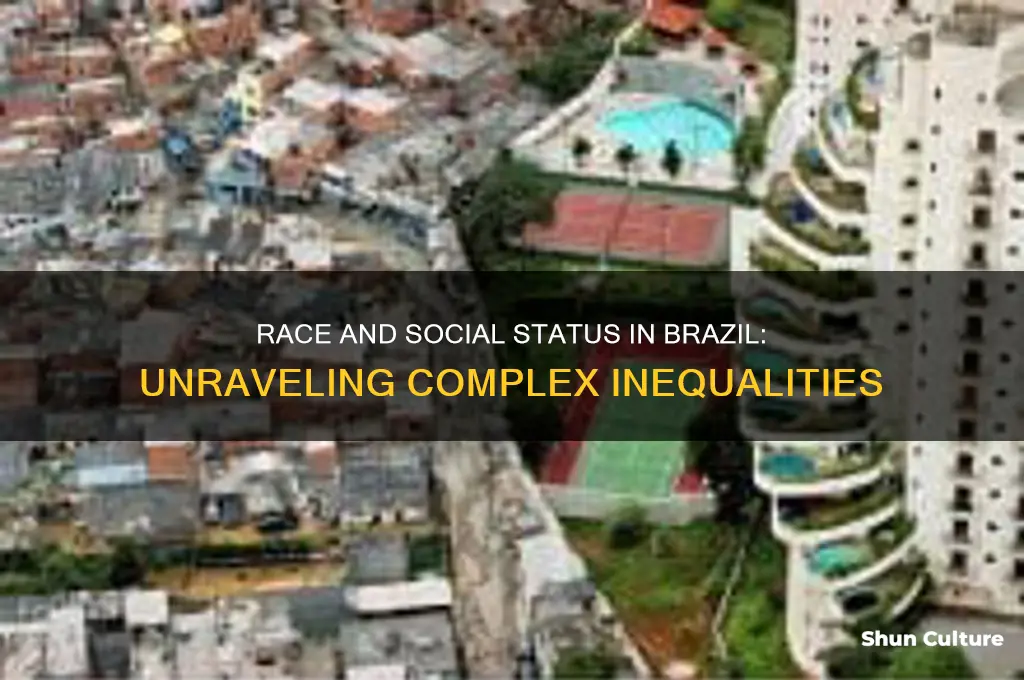 how race affects social status in brazil