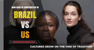 Race Constructs: Comparing Social Identities in Brazil and the U.S