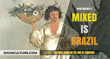 Brazil's Racial Diversity: Exploring the Richness of Mixed Heritage