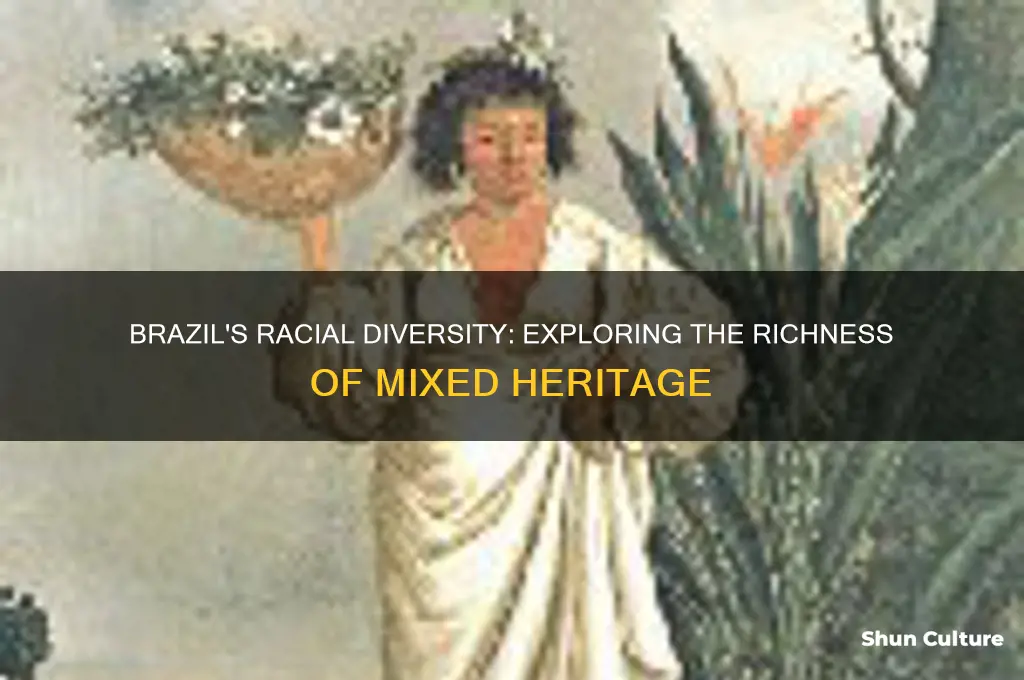 how racially mixed is brazil