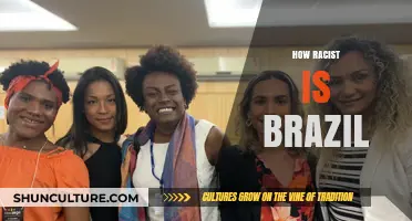 Unveiling Brazil's Racial Complexities: Confronting Prejudice and Inequality