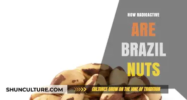 Unveiling Brazil Nuts' Radioactive Secret: Are They Safe to Eat?