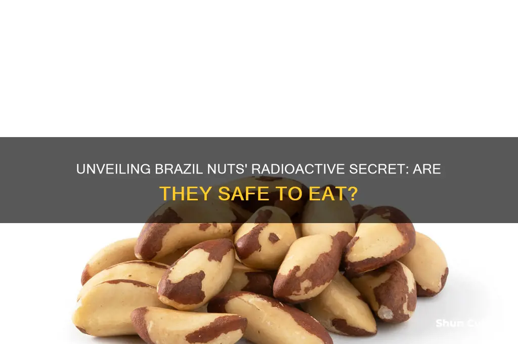 how radioactive are brazil nuts