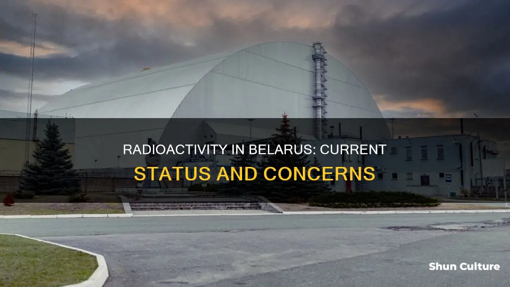 how radioactive is belarus now