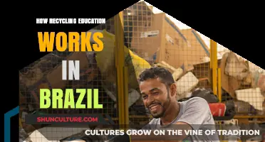 Brazil's Recycling Revolution: Education Strategies for a Greener Future