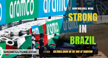 Red Bull's Dominance in Brazil: Strategy, Speed, and Success