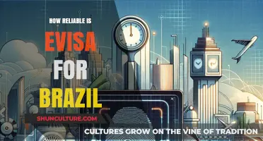Is Brazil's E-Visa System Reliable for Travelers? A Comprehensive Review
