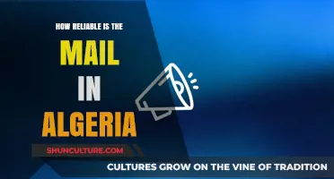 Assessing Algeria's Mail Reliability: Challenges, Improvements, and User Experiences