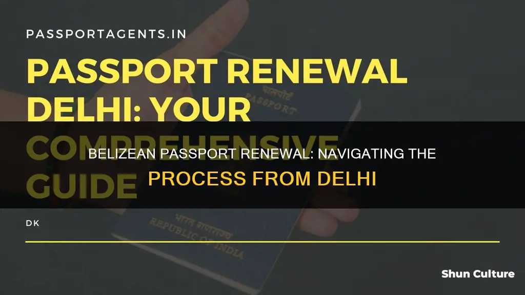 how renew expired belize passport from delhi